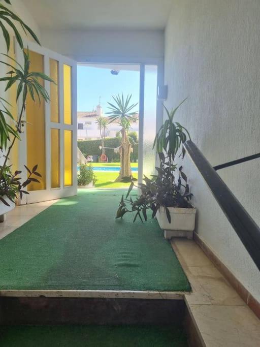 Apartamento Luxury 30m From *